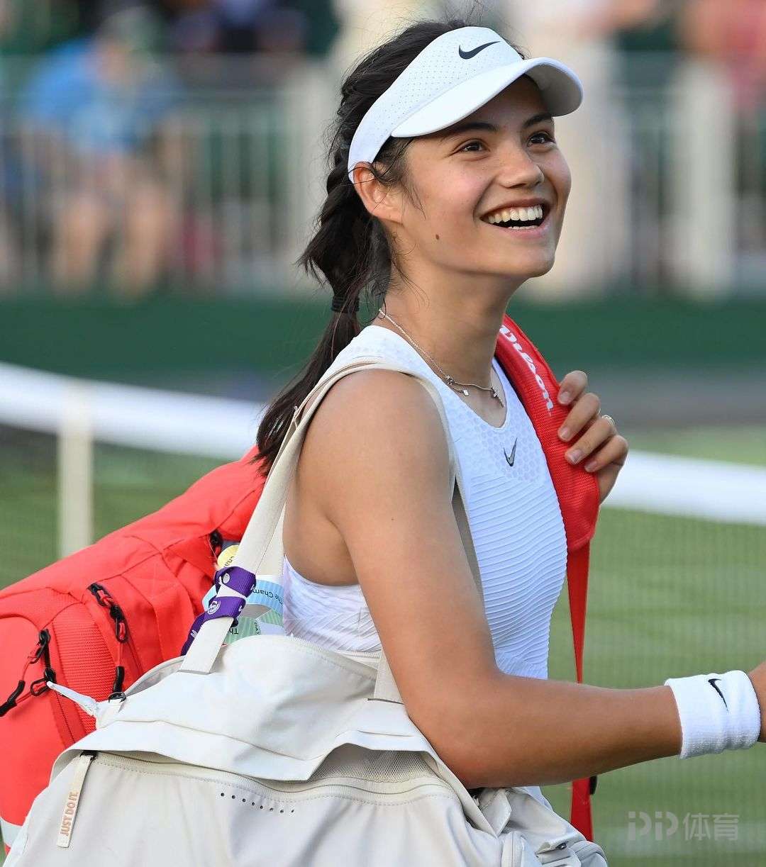 迅速引起了 迅速引起了