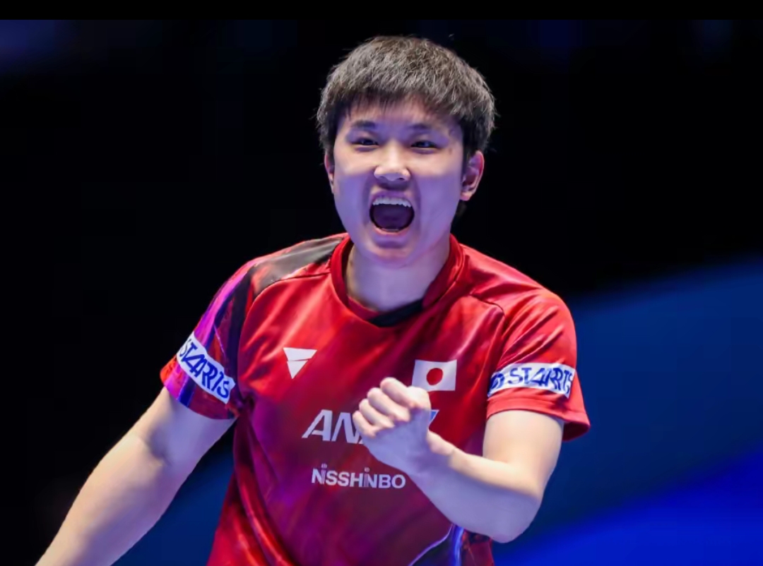 在激烈的竞 在激烈的竞