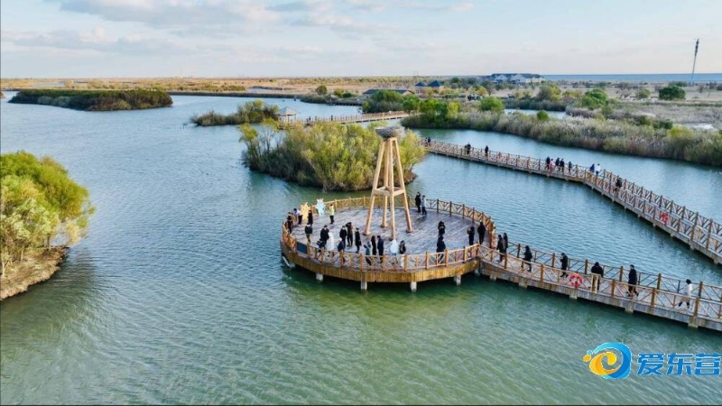 仅彰显了国 仅彰显了国